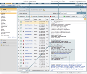 insurance customer database