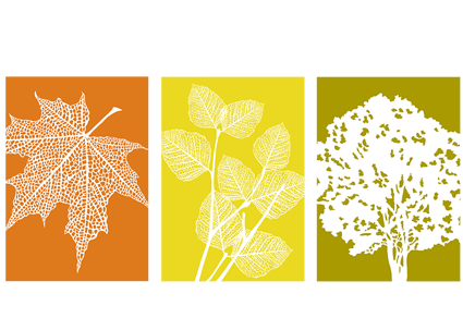 Bayscape Landscape Logo